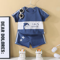 Playful Dolphin Set (2P-1)