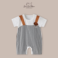 Striped Teddy (RMP-43)